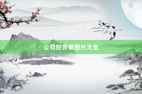 公司财务章图片大全