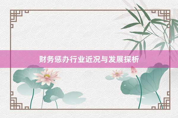 财务惩办行业近况与发展探析